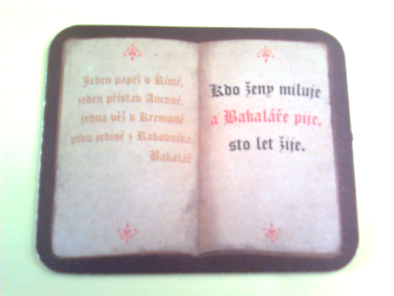 Rakovník-zadní.jpg