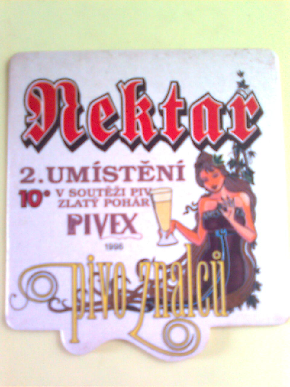 Strakonice-zadní.jpg